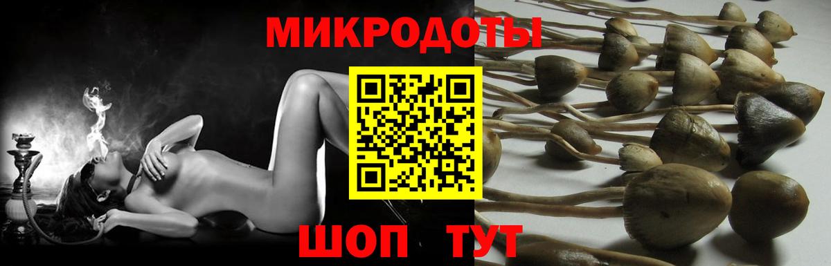 Галлюциногенные грибы ЛСД Керчь
